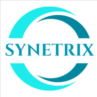 PT PANCA CITA SYNETRIX