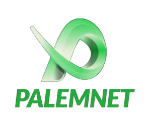 PT PALEMNET MULTIMEDIA DATA PERKASA