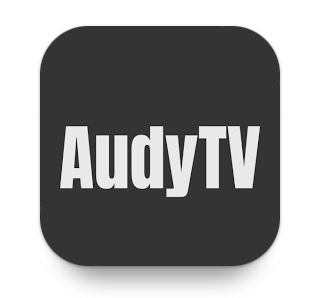 PT AUDY INTERNET CONNECTED