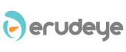 PT ERUDEYE INDONESIA 