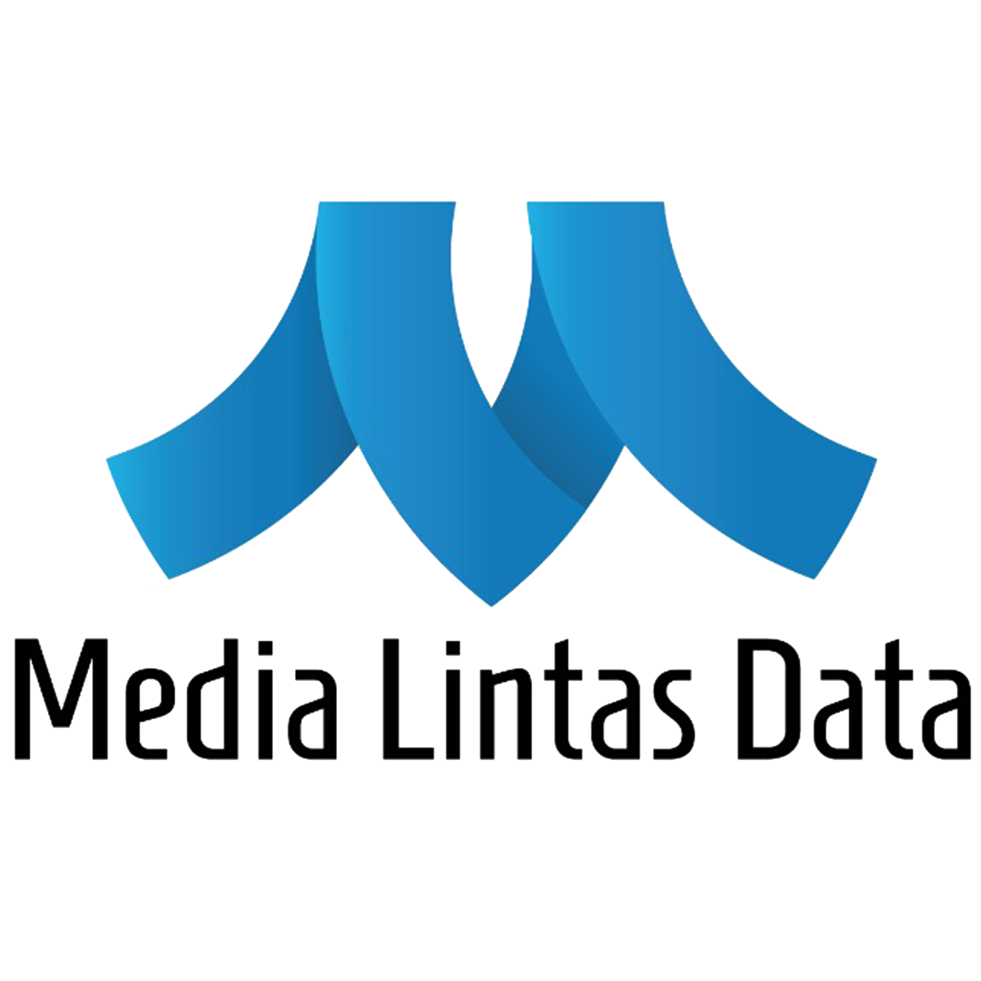 PT MEDIA LINTAS DATA