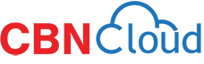 PT CYBERINDO MEGA PERSADA