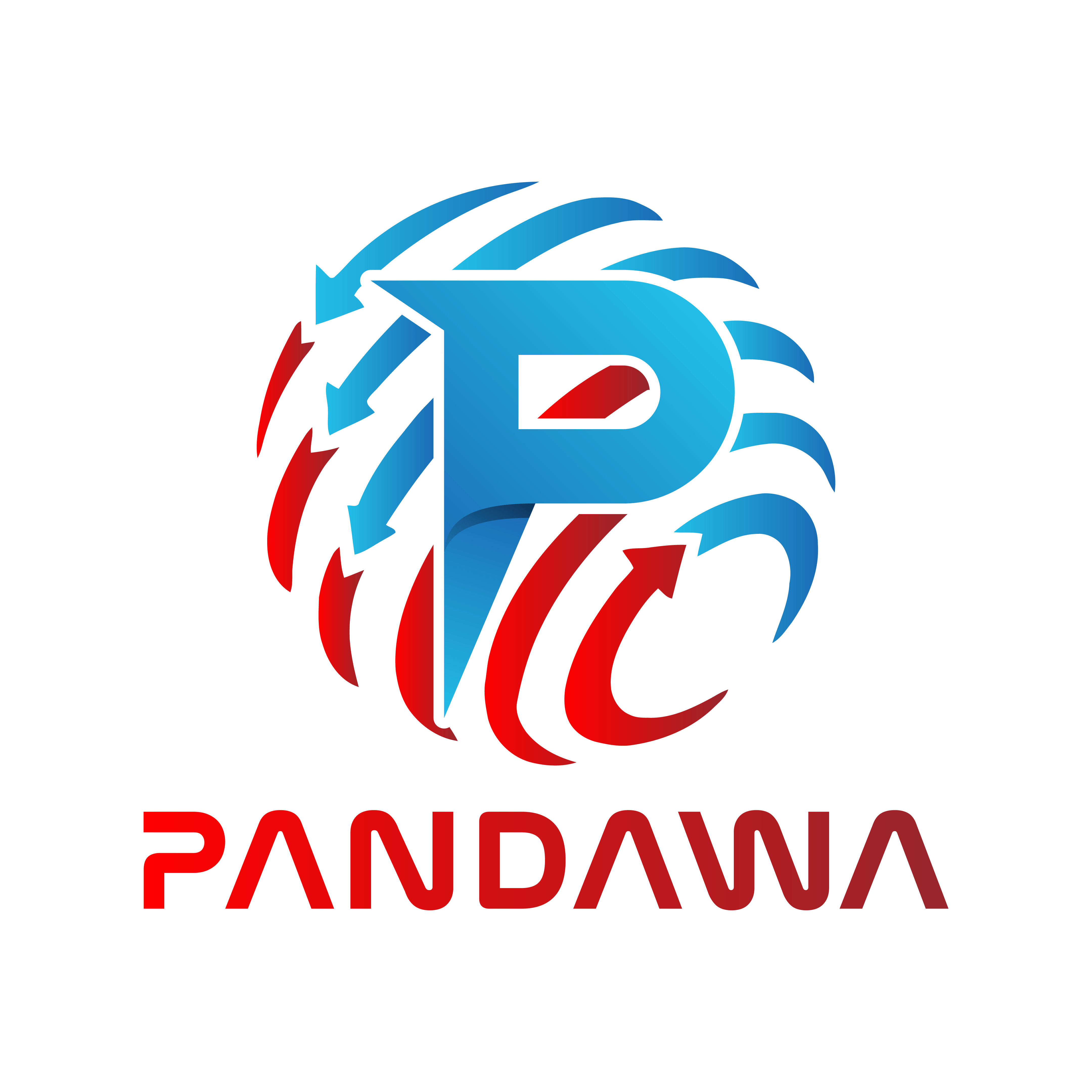 PT DHARMA SARANA SOLUSINDO