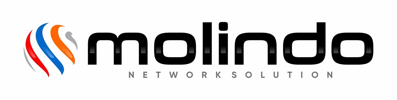PT MOLINDO NETWORK SOLUTION