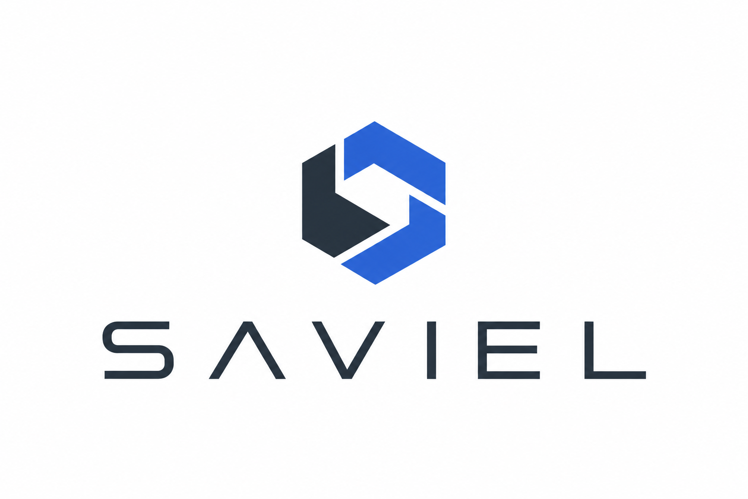PT SAVIEL NETWORK INDONESIA