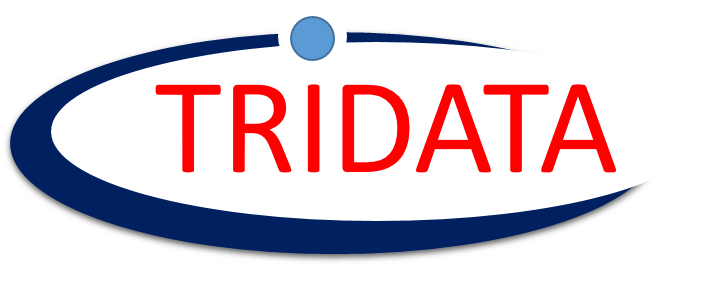 PT TRISARI DATA INDONUSA
