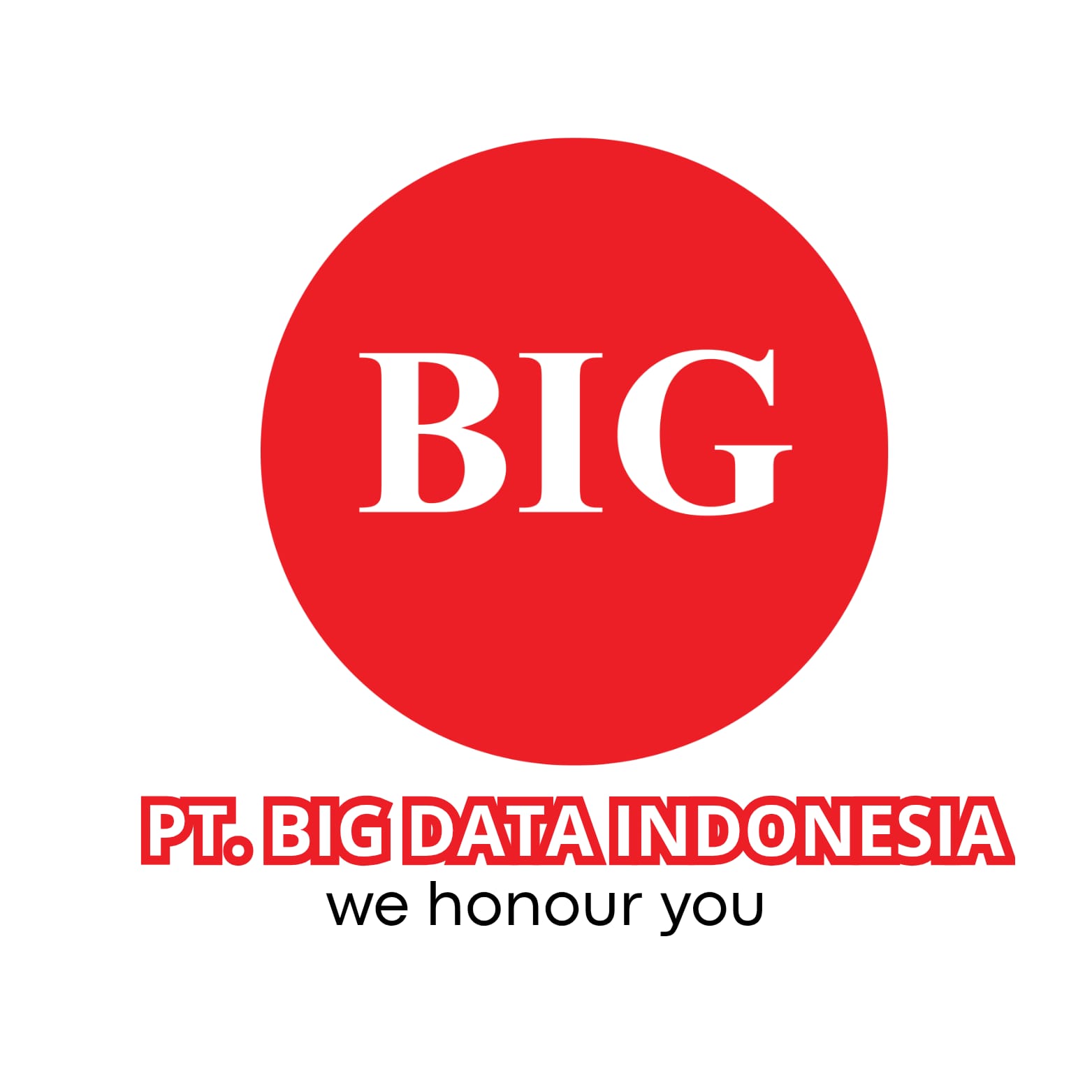 PT BIG DATA INDONESIA
