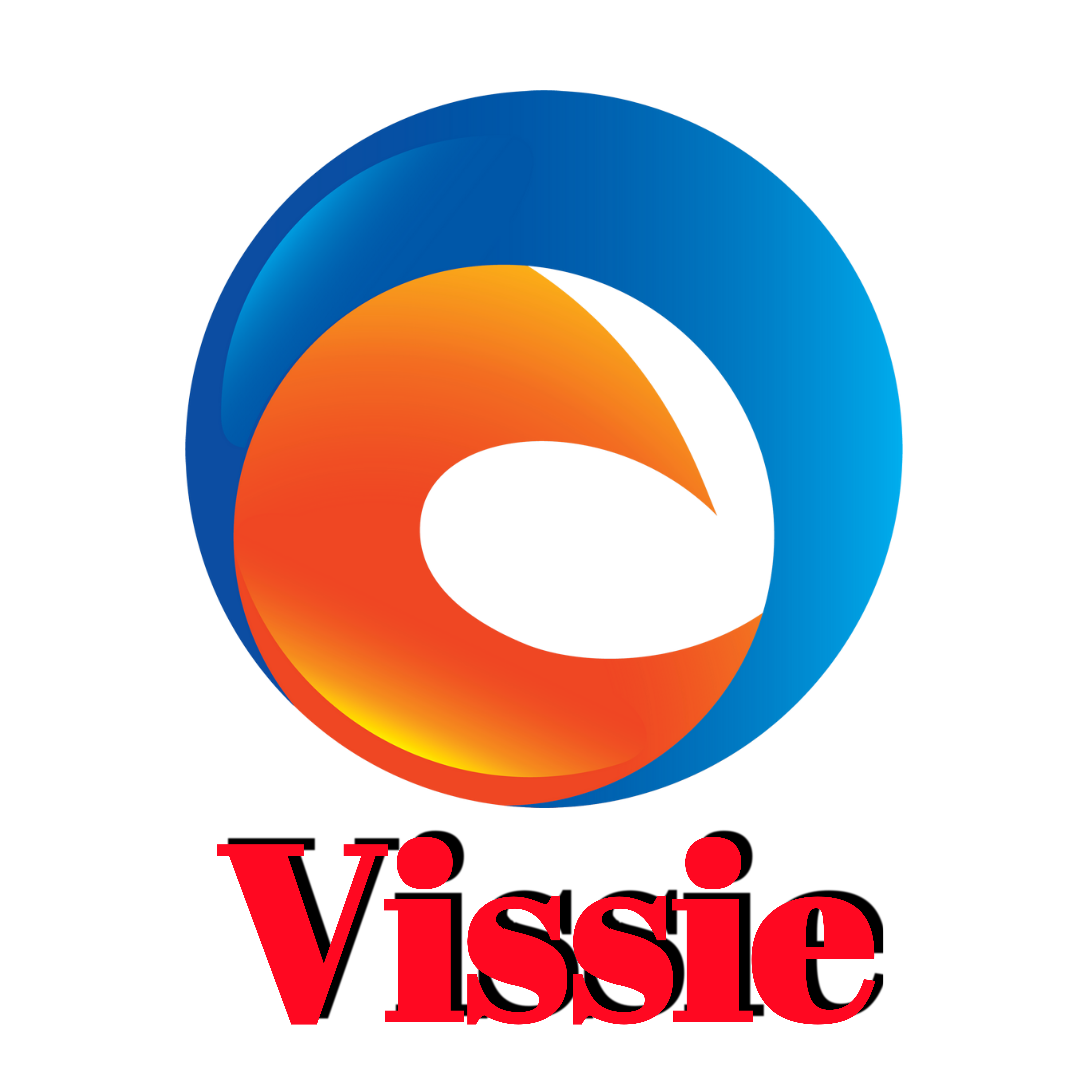 PT VISSIE CYBER DATA