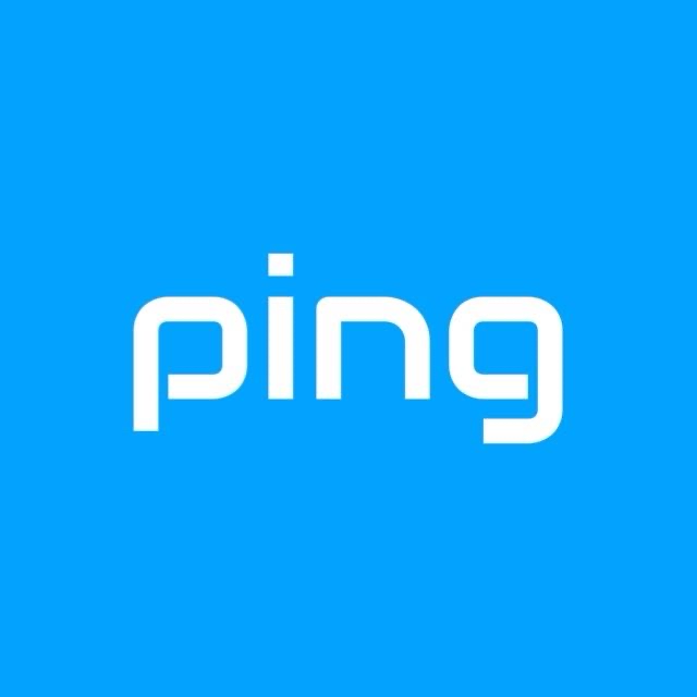 PT PING NETWORK GLOBAL