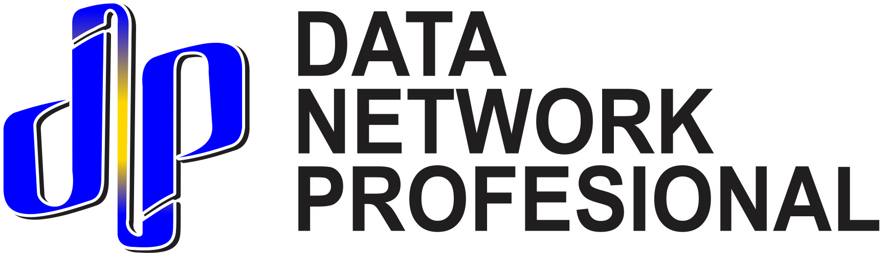 PT DATA NETWORK PROFESIONAL