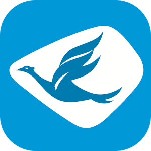 PT BLUE BIRD
