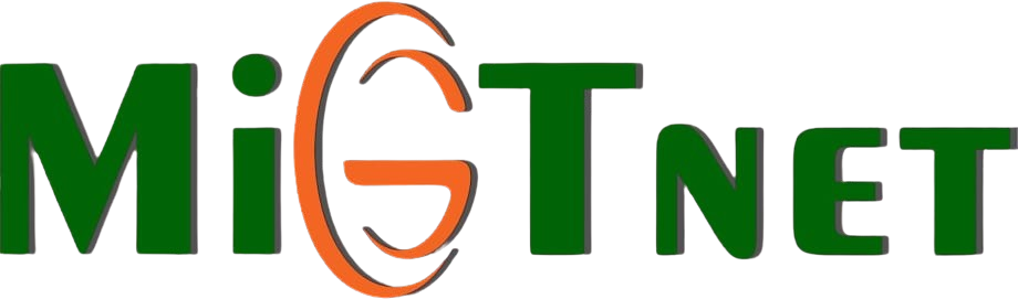 PT MITRA GLOBAL TELEMEDIA