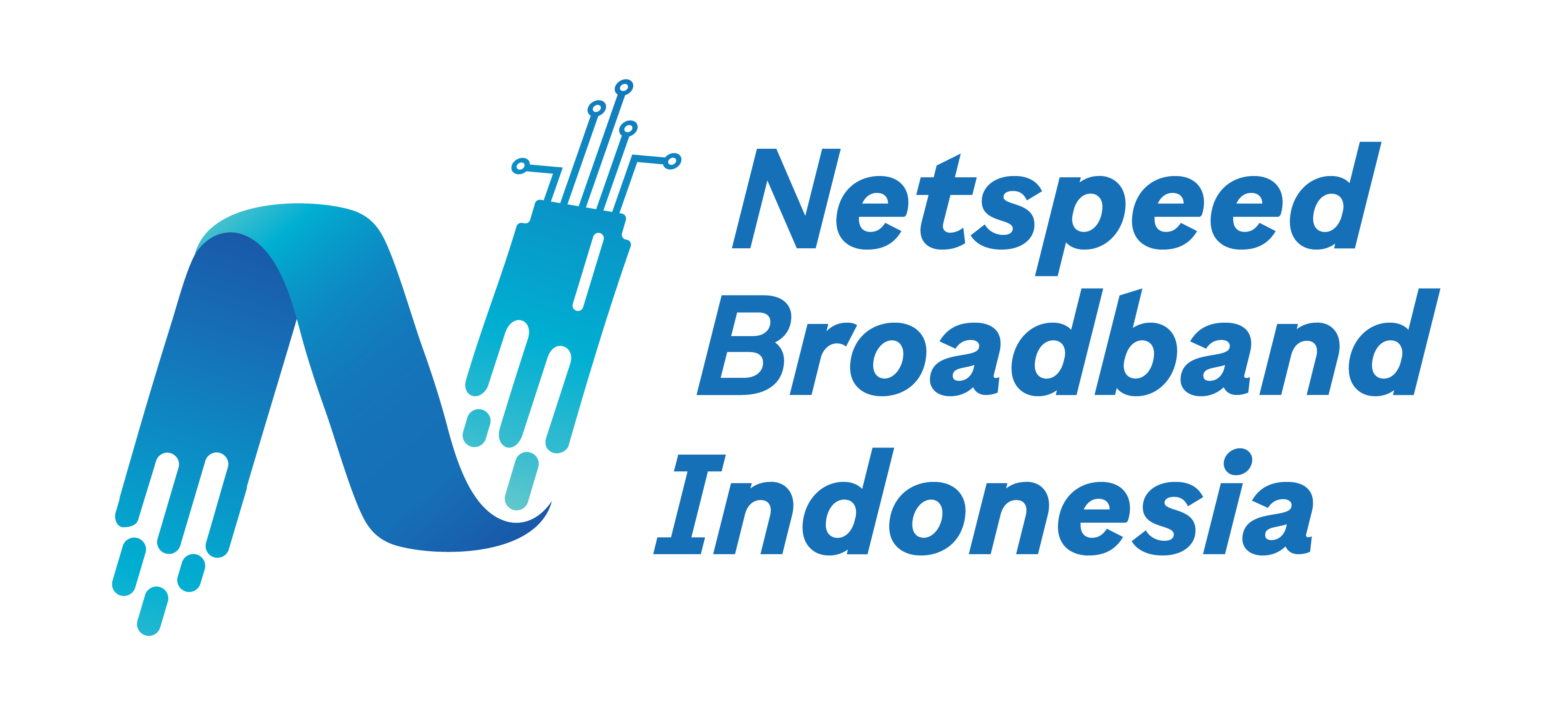 PT NETSPEED BROADBAND INDONESIA