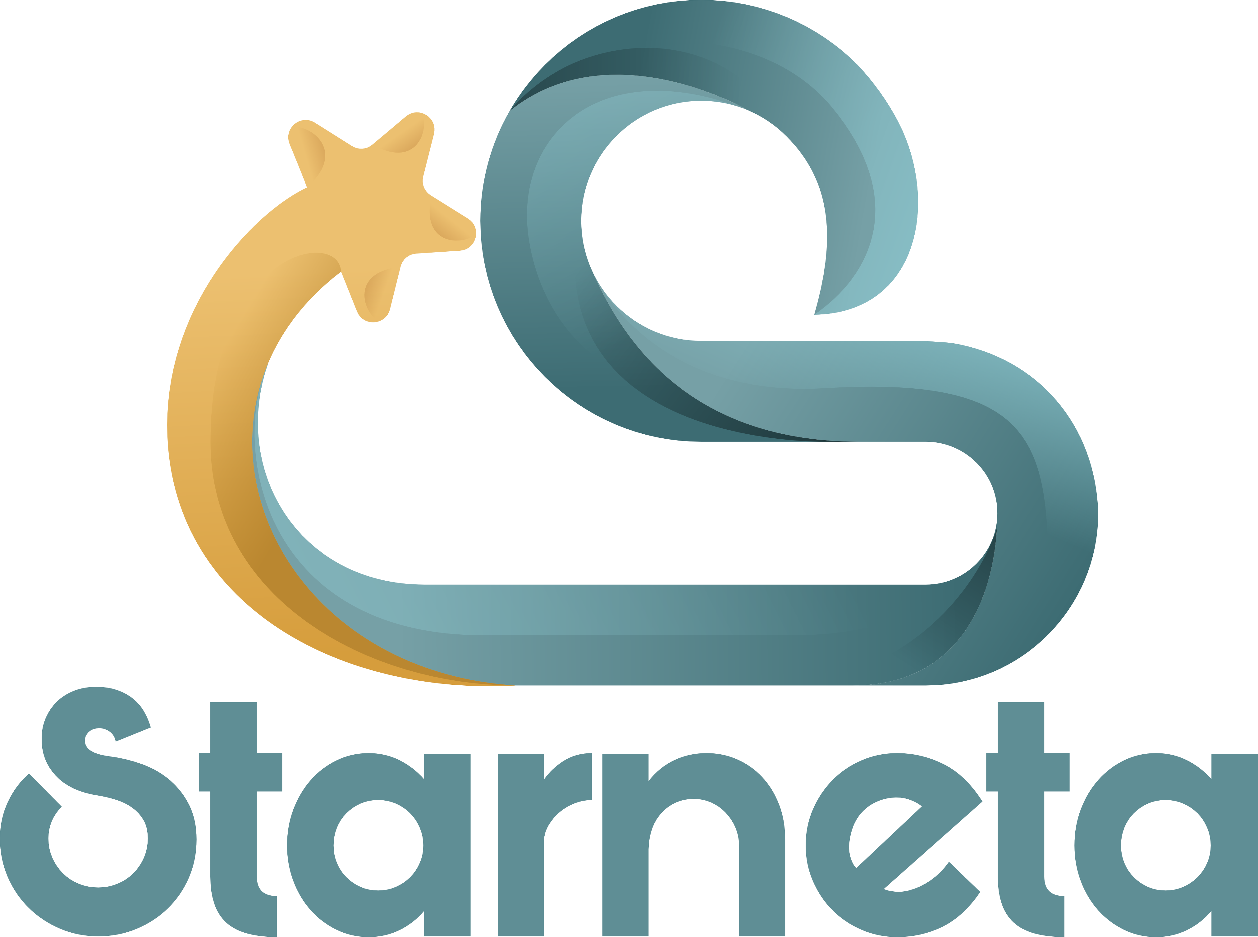 PT STARLINK NETWORK DIGITAL