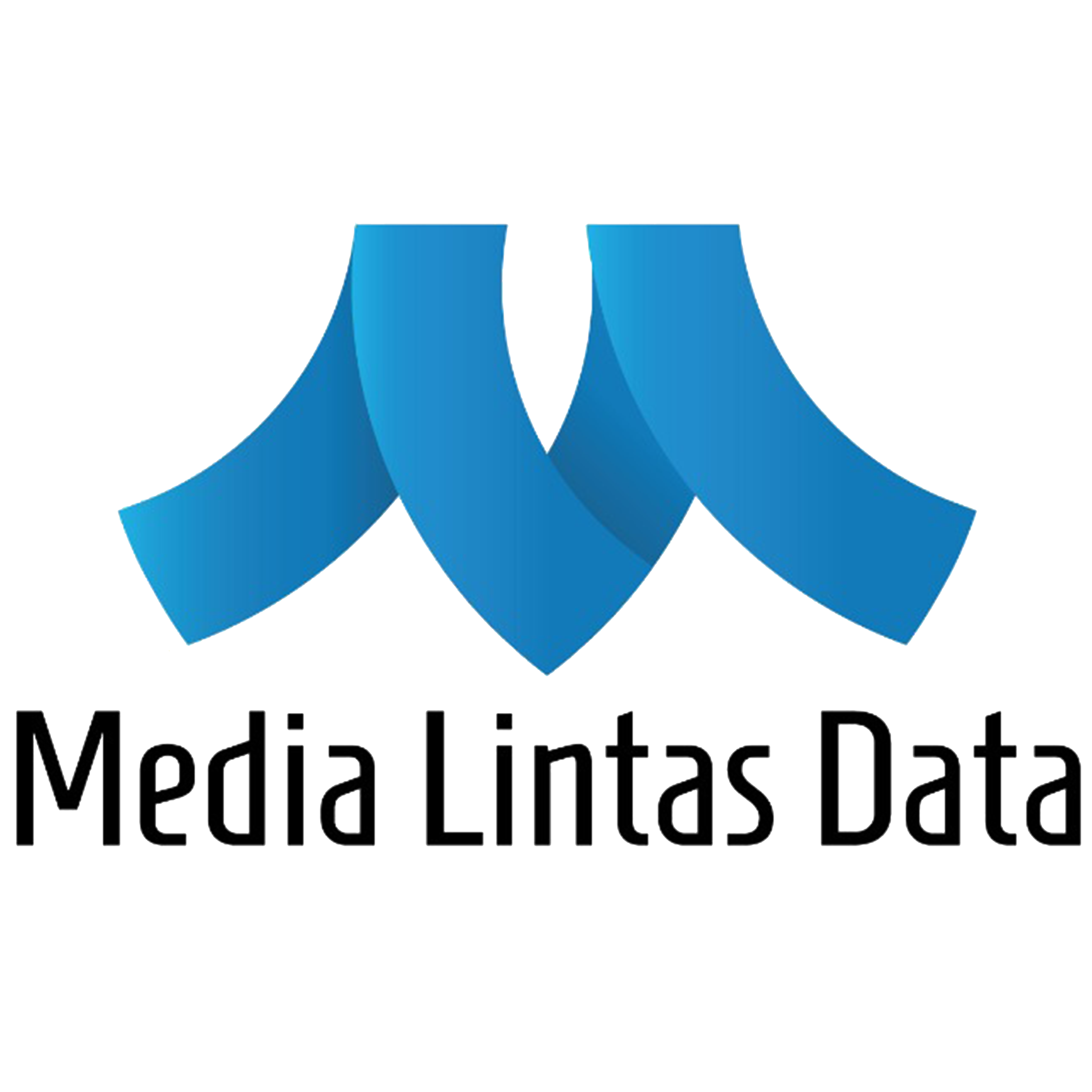 PT. MEDIA LINTAS DATA